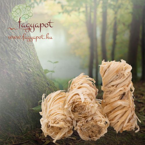 Bio tűzgyújtó brikett