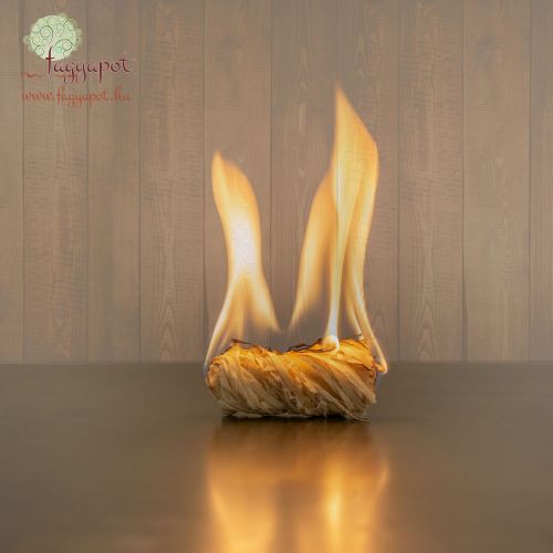 Bio tűzgyújtó brikett