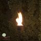 Garden torch